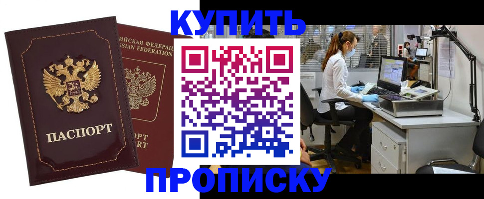 прописка гарантия в Дубне